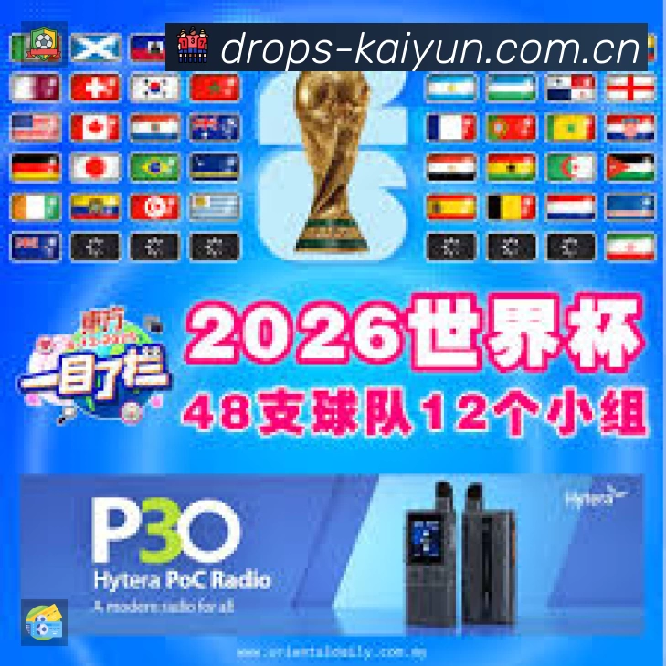 全球访问热力分布图